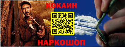 сатива Новозыбков