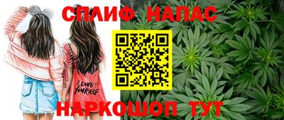 сатива Новозыбков