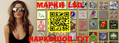 сатива Новозыбков