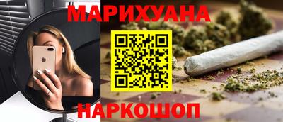 сатива Новозыбков