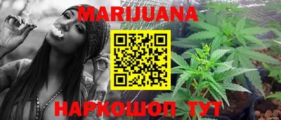 сатива Новозыбков
