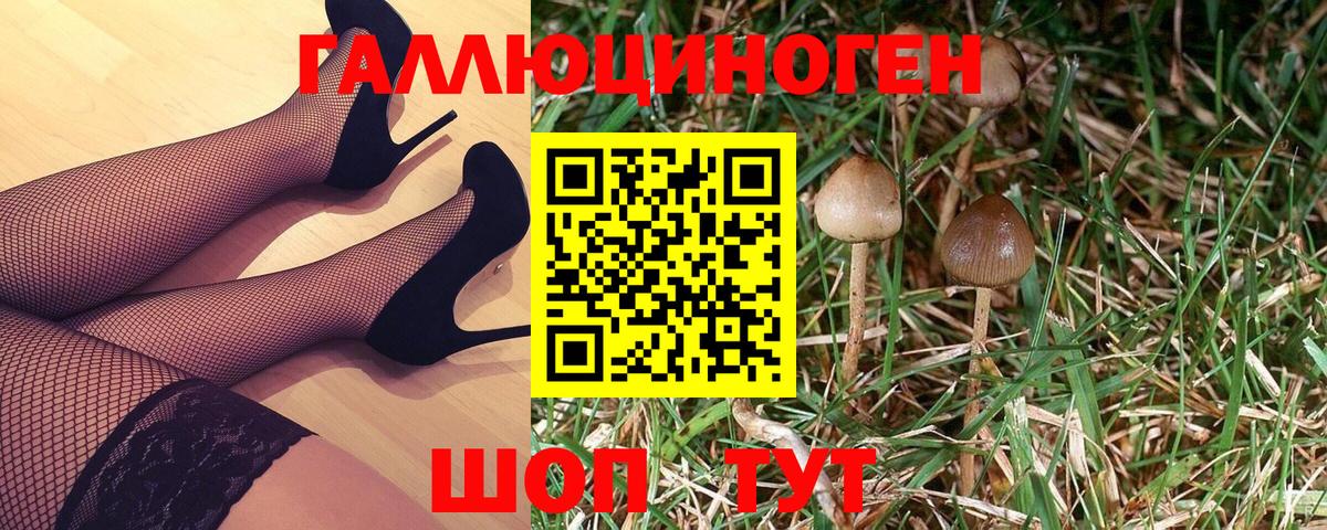 закладка  Галлюциногенные грибы Magic Shrooms  Вход с VPN  Санкт-Петербург 